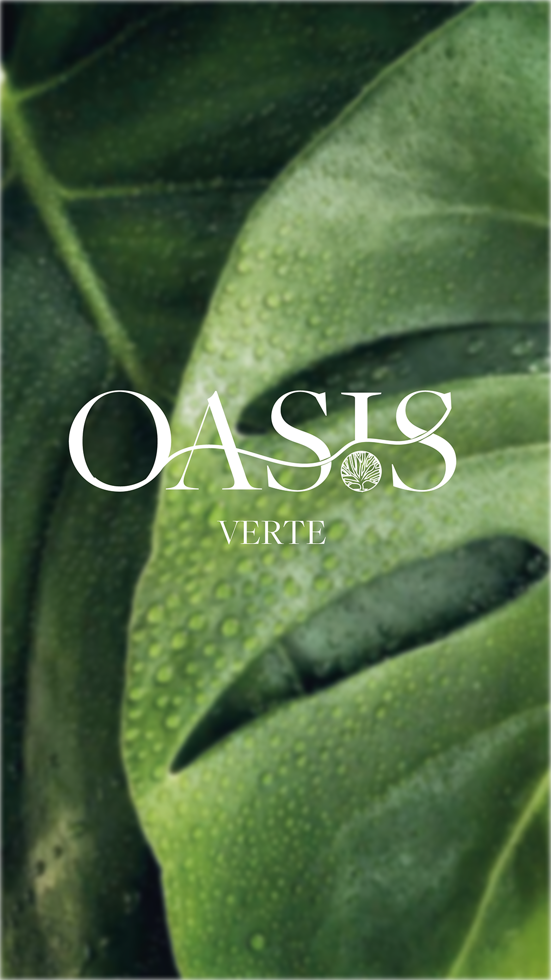 Oasis Verte Logo 1